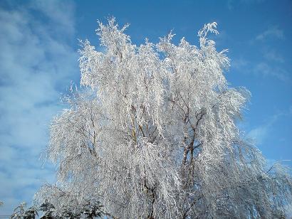 The coldest winter for the last 35 years